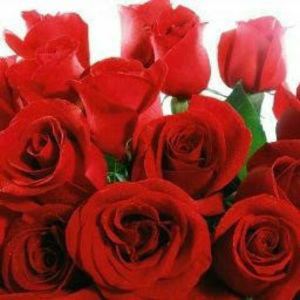 Meet your Posher, Deborah